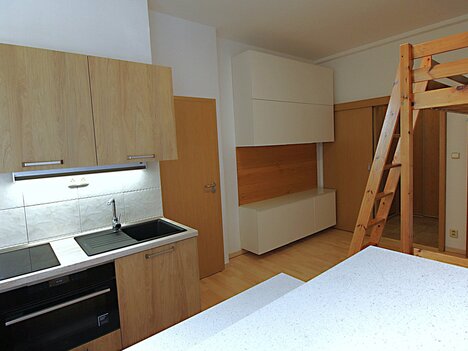 Praha 7, Holešovice, pronájem bytu po reko 1+kk, 26 m2, zařízeno.